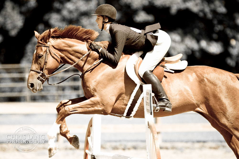 Equine Lifestyle Photography - Wilmington NC Lifesyle Photographers - 