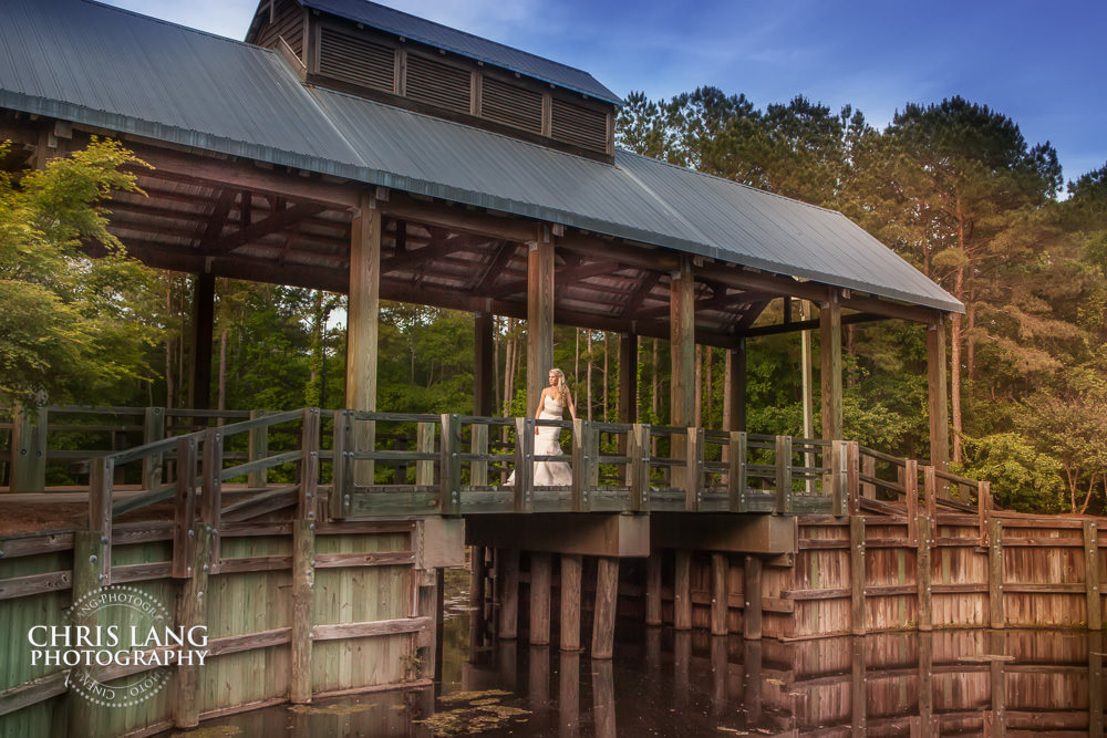 Dramatic & Ethereal wedding and bridal Photo Style- wedding dress - bride - Bridal Portrait - Wilmington NC Bridal Portrait Photgraphers - Chris Lang Photography  