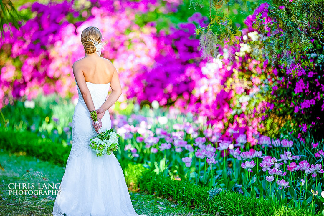 Airlie Gardens - Photo of bride in the garden - Azaleas -  Bold & Colorful Style Wedding Photography - Bridal Portrait - Bride- Wedding Dress - Wedding Inspiration - Wilmington NC Bridal & wedding portrait photographer  - Chris Lang Photography